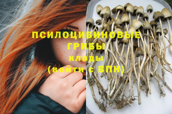 первитин Дмитров